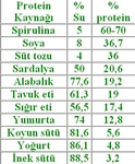 Protein Değeri Yüksek Besinler? Protein Değeri Yüksek Besinler?