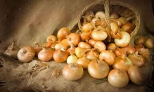 Soğan Besin Değeri? Soğan Besin Değeri?