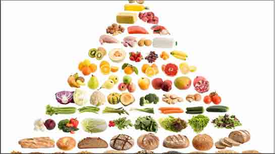 Besin Protein Değerleri?