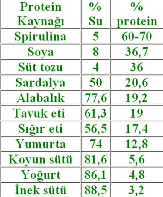 Protein Deeri Yksek Besinler